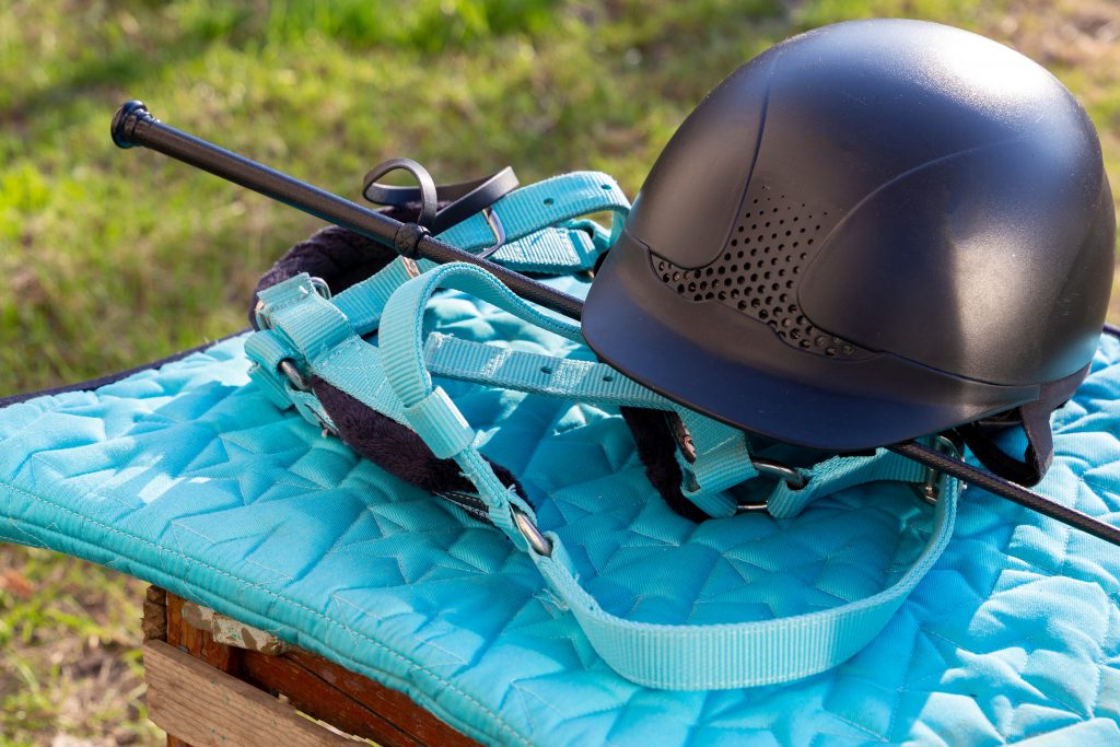 Equipment for horse riding outdoors: bridle, whip, helmet
