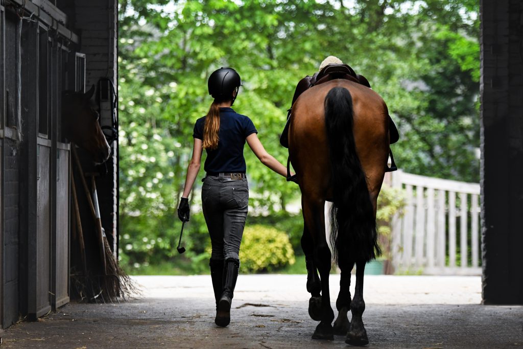 The back of the rider, walking towards the exit with her horse