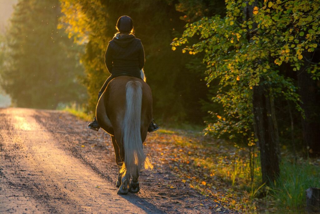 women riding horse on an autumn day